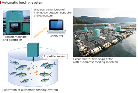 Oita Marine Biological Technology Center | Research ...