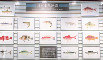 photo:Exhibiting the past, present, and future with panels and rare items on display