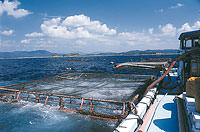 photo:Promoting complete aquaculture