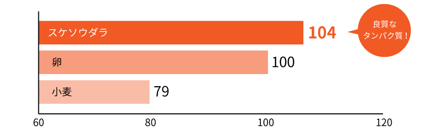 タンパク質の利用効率比較グラフ：スケソウダラ104「良質なタンパク質！」、卵100、小麦79