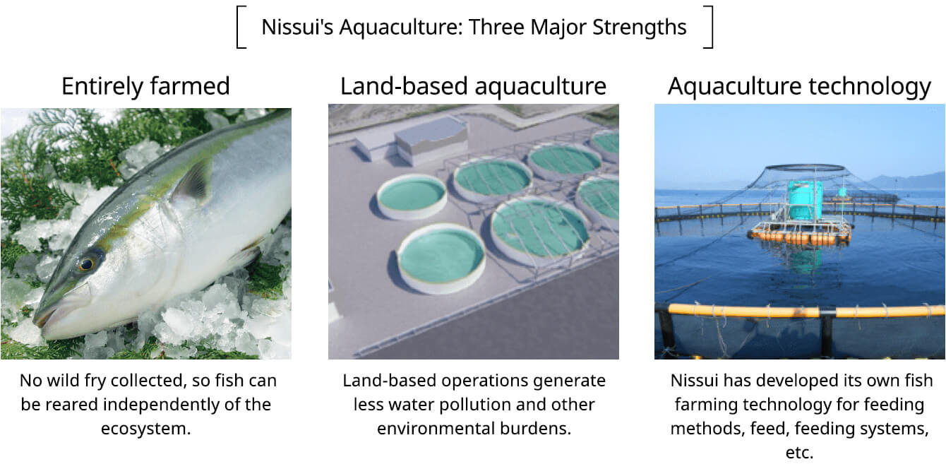 Nissui's Aquaculture: Three Major Strengths Entirely farmed: No wild fry collected, so fish can be reared independently of the ecosystem. Land-based aquaculture: land-based operations generate less water pollution and other environmental burdens. Aquaculture technology: Nissui has developed its own fish farming technology for feeding methods, feed, feeding systems, etc. 