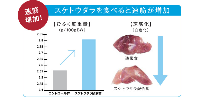 スケソウダラのタンパク質 研究 研究 開発 企業 Ir情報 ニッスイ