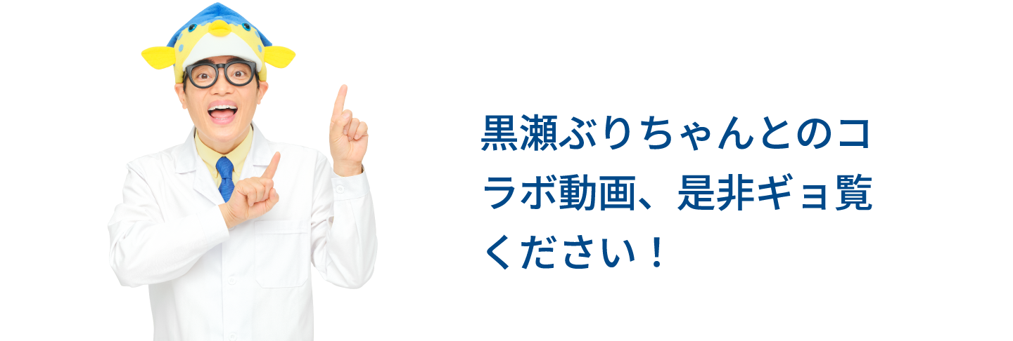 黒瀬ぶりちゃんとのコラボ動画、是非ギョ覧ください！