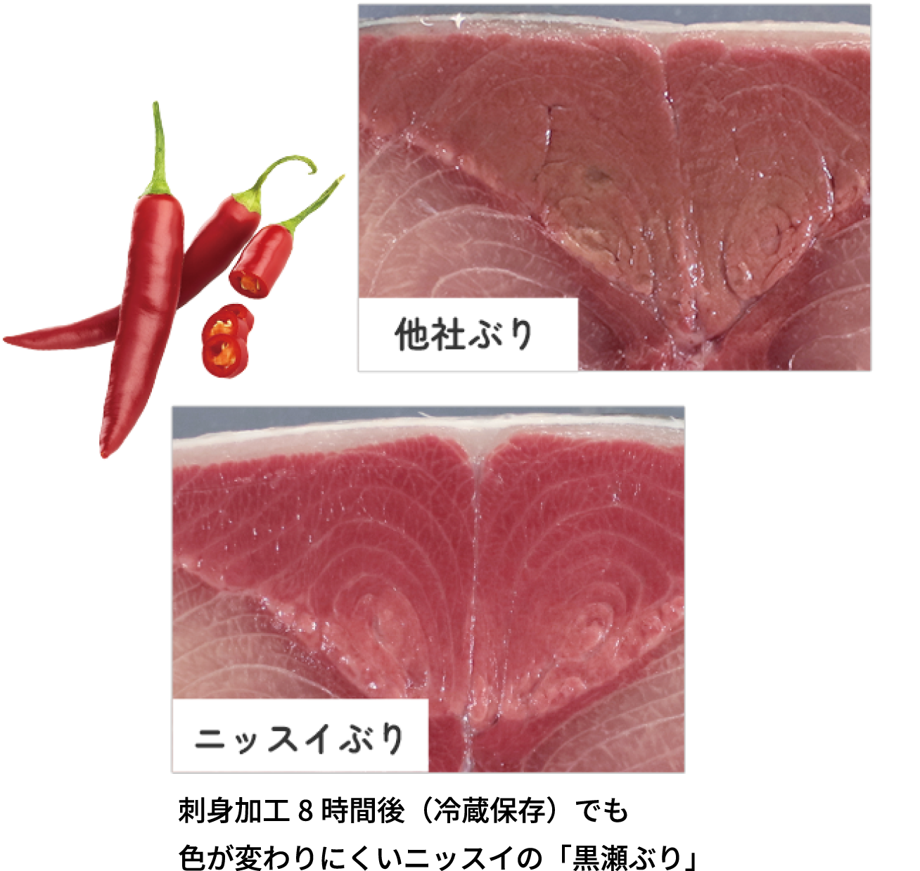 刺身加工8時間後（冷蔵保存）でも色が変わりにくいニッスイの「黒瀬ぶり」