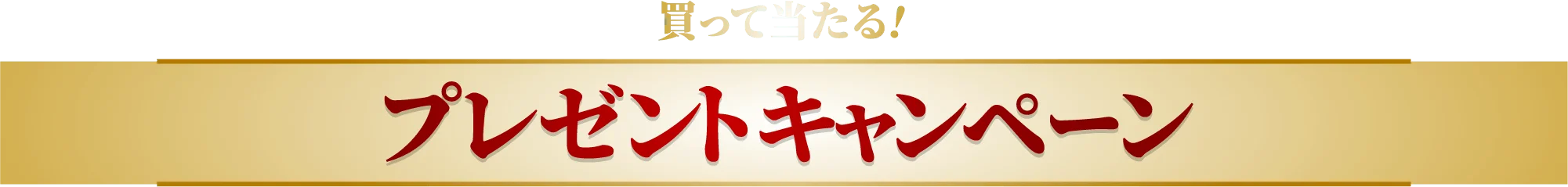 プレゼントキャンペーン