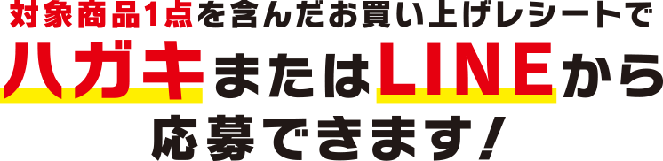 対象商品2点を含んだお買い上げレシートでハガキまたはLINEから応募できます！