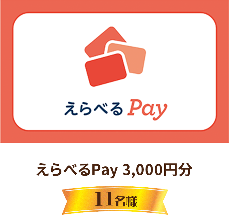えらべるPay 3,000円分 11名様