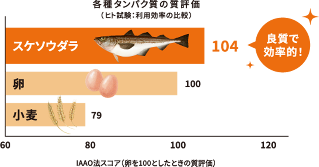 各種タンパク質の質評価（ヒト試験：利用効率の比較）IAAO法スコア（卵を100としたときの質評価）良質で効率的