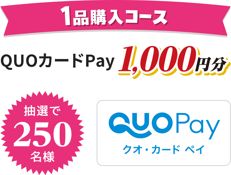 1品購入コース：QUOカードPay 1,000円分 抽選で250名様