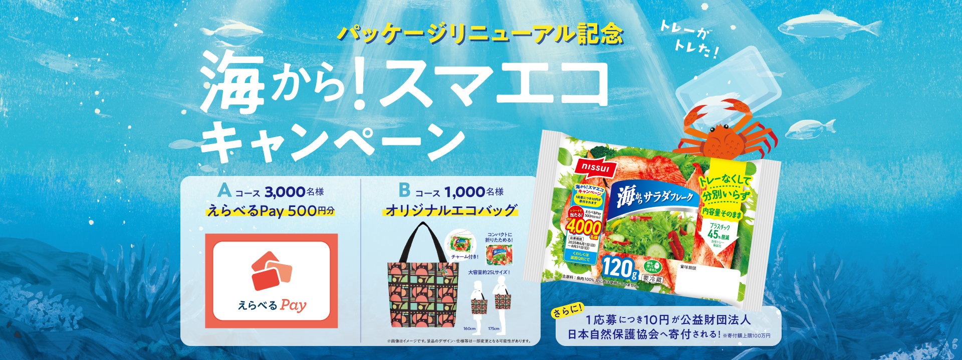 海から!スマエコキャンペーン