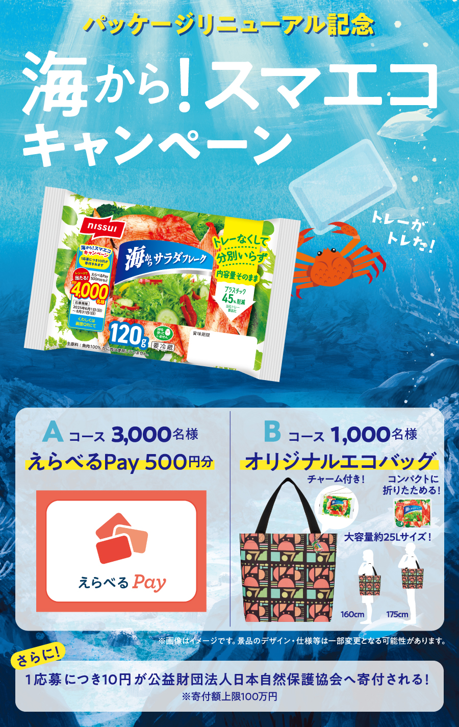 海から!スマエコキャンペーン