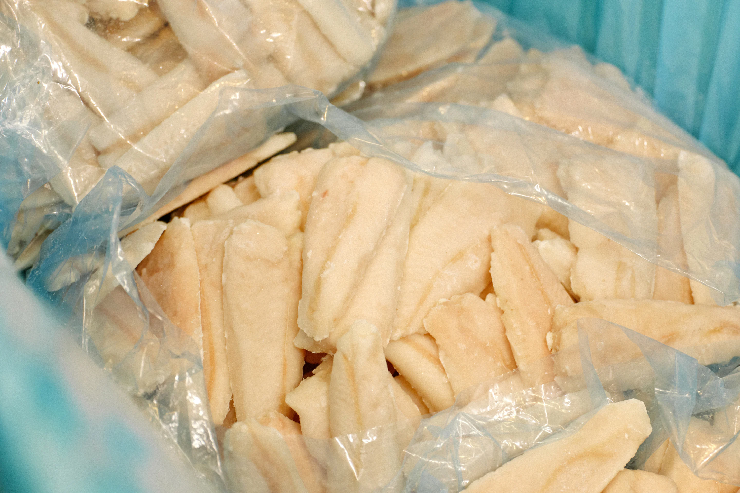厳選された良質な白身魚だけがここに運ばれてくる。