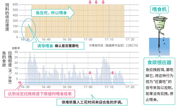 饲料的供应速度
鱼在吃，所以喂食 诱导喂食　确认是否需要吃 ※喂食时刻（根据季节设定）12月27日。拉拽频度（次/分钟）鱼的食欲 达到设定拉拽频度下限值时喂食结束 很难依靠人工花时间来迎合鱼的步调。喂食机 食欲感应器 鱼拉拽假饵，要吃掉它，将这种行为视为