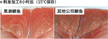 刺身加工8小时后(15℃保存) 黑濑鰤鱼 其他公司鰤鱼