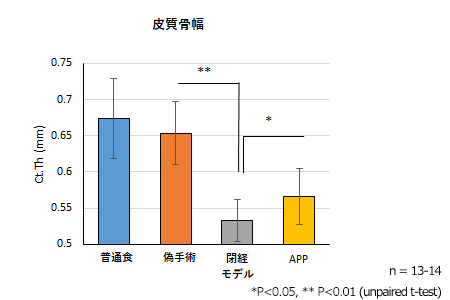 皮質骨幅