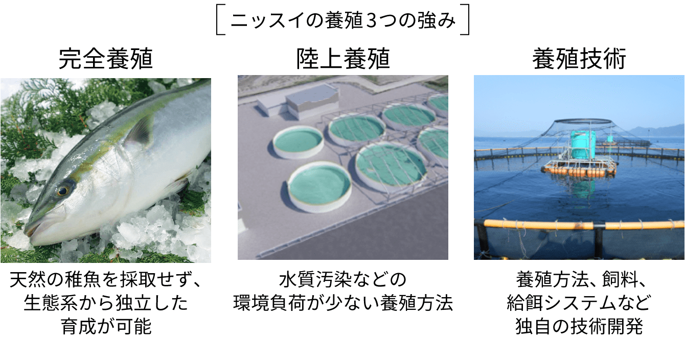 ニッスイの養殖 3つの強み　1天然の稚魚を採取せず、生態系から独立した育成が可能「完全養殖」 2水質汚染などの環境負荷が少ない養殖方法「陸上養殖」 3養殖方法、飼料、給餌システムなど独自の技術開発「養殖技術」