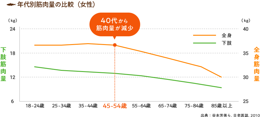 年代別筋肉量の比較（女性）