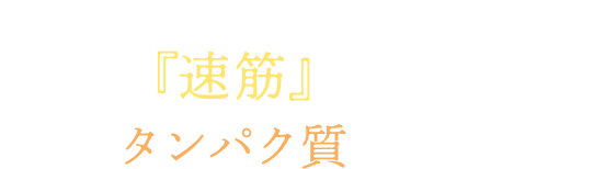 〜タンパク質は筋肉に合わせて選ぶ時代へ〜効率よく「速筋」を作るスイッチはタンパク質にあり!
