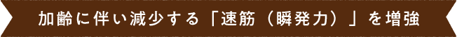加齢に伴い減少する「速筋(瞬発力)」を増強