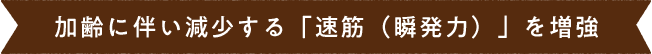 加齢に伴い減少する「速筋（瞬発力）」を増強