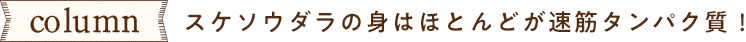 column スケソウダラの身はほとんどが速筋タンパク質!