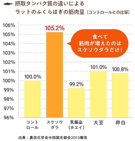 摂取タンパク質の違いによるラットのふくらはぎの筋肉量（コントロールとの比率）