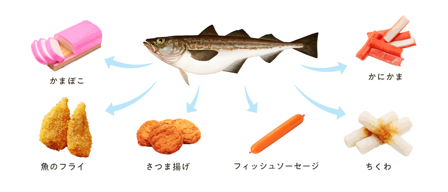 スケソウダラでできている製品:かまぼこ、魚のフライ、さつま揚げ、フィッシュソーセージ、ちくわ、かにかま
