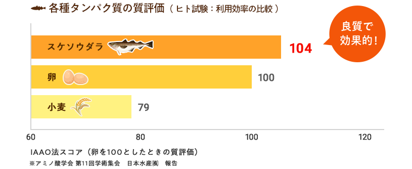 各種タンパク質の質評価（ヒト試験：利用効率の比較）