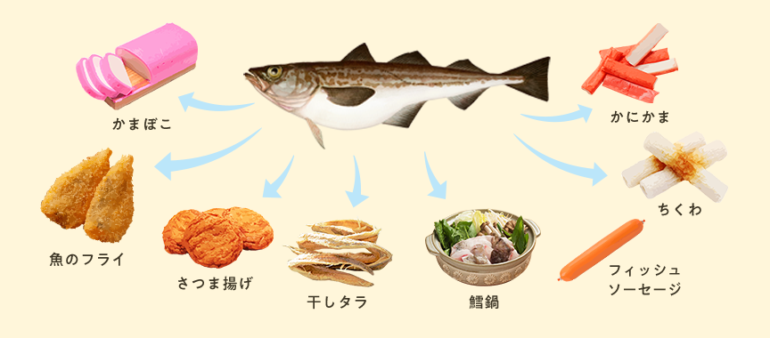 かまぼこ、魚のフライ、さつま揚げ、干しタラ、鱈鍋、フィッシュソーセージ、ちくわ、かにかま