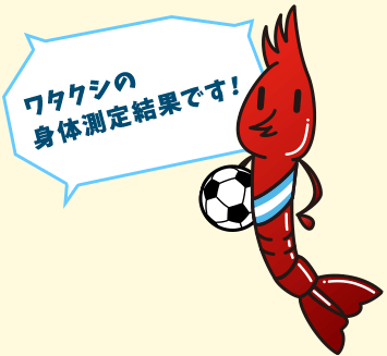 ワタクシの身体測定結果です!