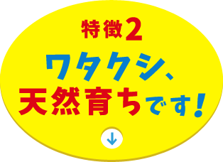 特徴2 ワタクシ天然育ちです！