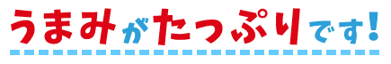 うまみがたっぷりです！