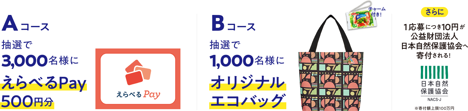 Aコース：抽選で3,000名様にえらべるPay500円分　Bコース：抽選で1,000名様にオリジナルエコバッグ　さらに１応募につき10円が公益財団法人
                      日本自然保護協会へ寄付される！※寄付上限額100万円
