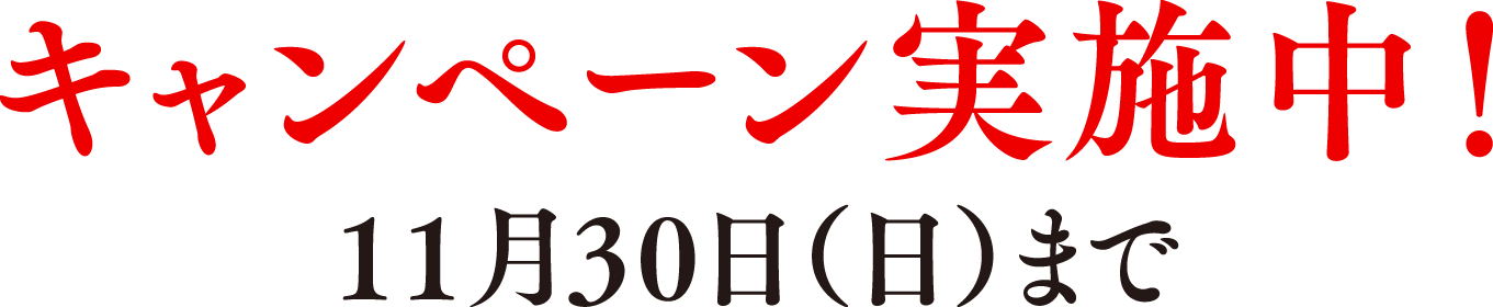 キャンペーン実施中! 11月30日(日)まで