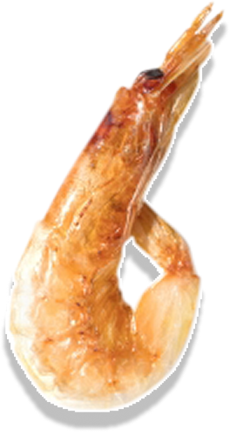 料理
