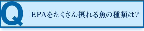 EPAをたくさん摂れる魚の種類は？