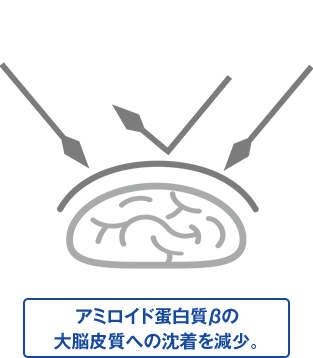 アミロイド蛋白質βの大脳皮質への沈着を減少。