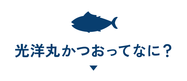 光洋丸かつおってなに？