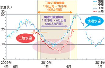 図1 境港と三陸の年間水温変化と魚の成長