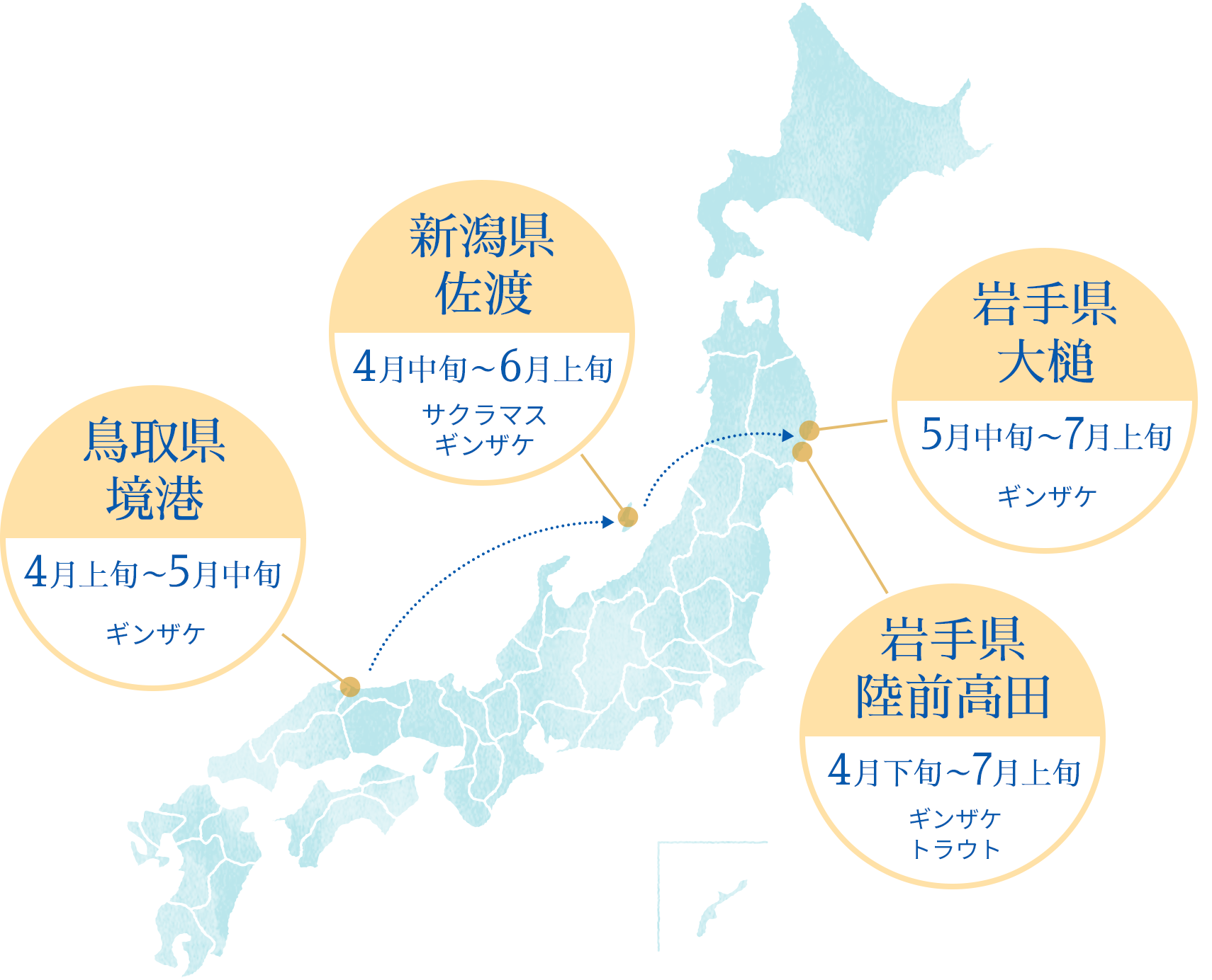 鳥取県境港（4月上旬～5月中旬）ギンザケ→新潟県佐渡（4月中旬～6月上旬）サクラマス ギンザケ→岩手県陸前高田(4月下旬～7月上旬)ギンザケ・トラウト→岩手県大槌（5月中旬～7月上旬）ギンザケ