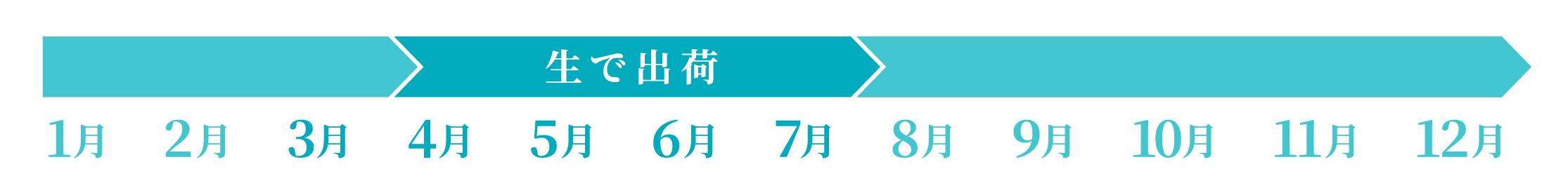 4月〜7月 生で出荷