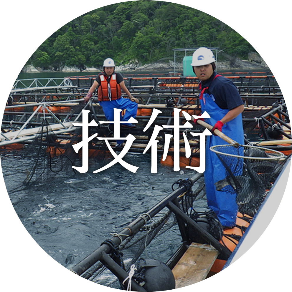 技術
