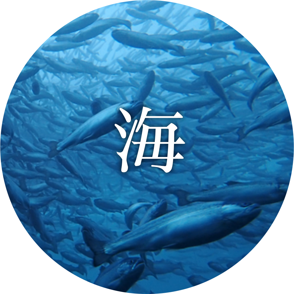 海