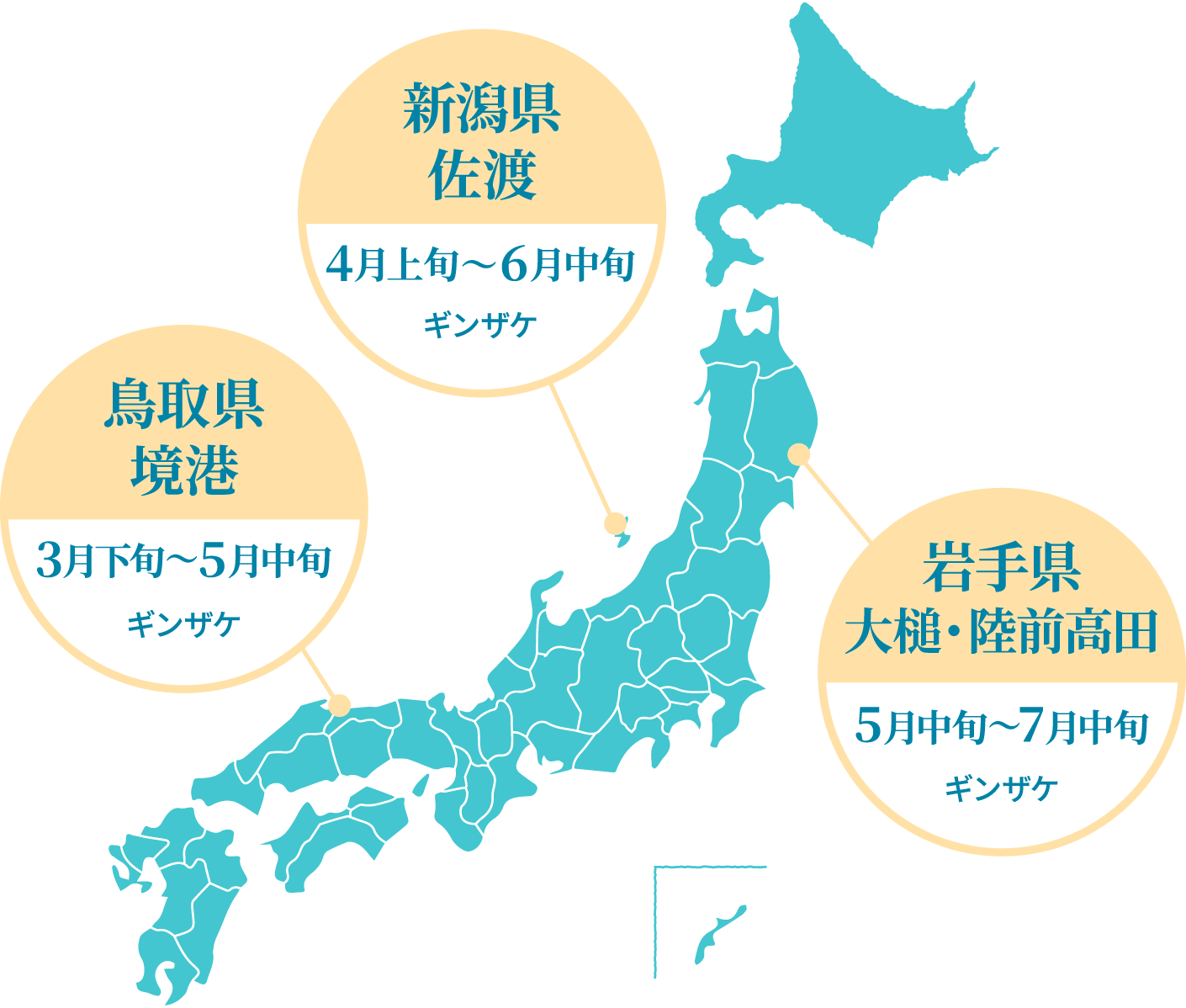 新潟県佐渡:4月上旬~6月上旬 ギンザケ 鳥取県境港:3月下旬〜5月中旬 ギンザケ 岩手県大槌・陸前高田:5月中旬〜7月中旬 ギンザケ