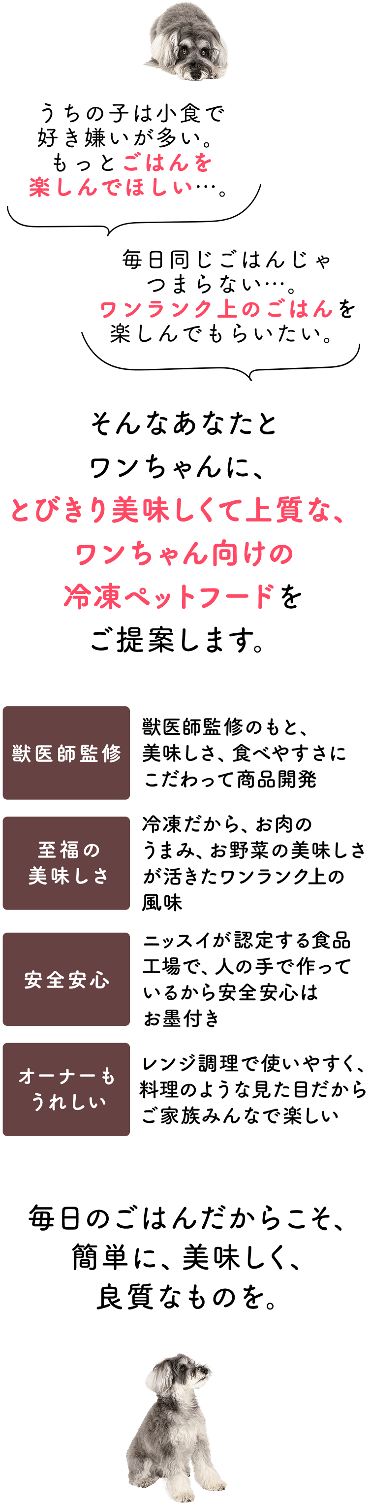 ニッスイ 【冷凍食品】ニッスイ 冷凍 お弁当 ごはんがめちゃ
