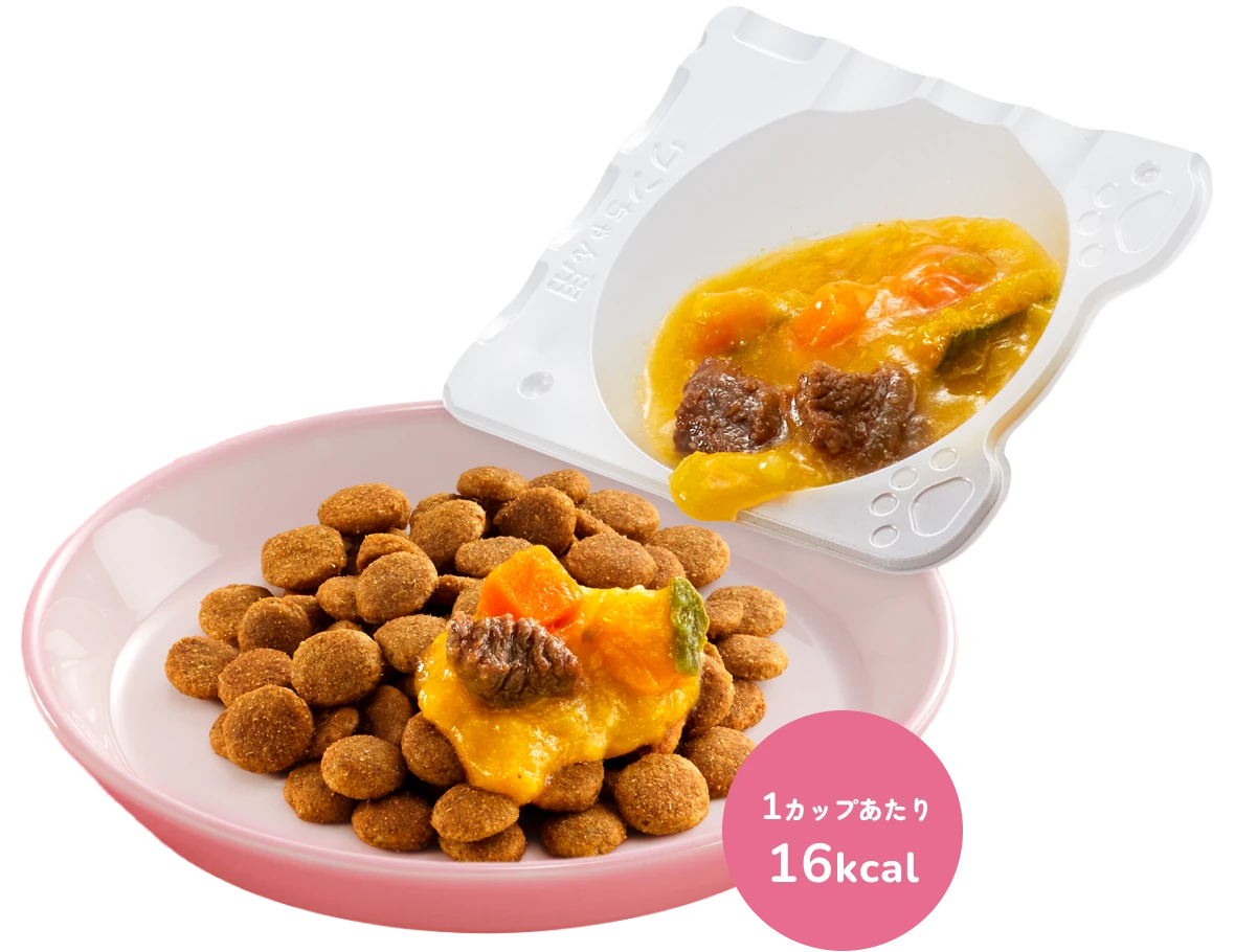 PAWSOME DELI 牛肉ステーキと北海道産かぼちゃソース の盛り付けイメージ