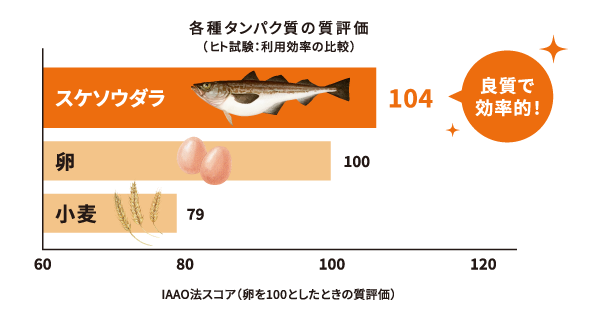 各種タンパク質の質評価(ヒト試験:利用効率の比較)スケソウダラ:104 良質で効率的! 卵:100 小麦:79 IAAO法スコア(卵を100としたときの質評価)