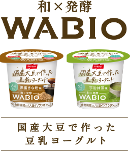 和×発酵 WABIO 国産大豆で作った豆乳ヨーグルト