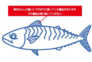 【写真】画像：さばの身の画像