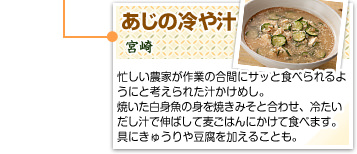 あじの冷や汁
宮崎
忙しい農家が作業の合間にサッと食べられるようにと考えられた汁かけめし。焼いた白身魚の身を焼きみそと合わせ、冷たいだし汁で伸ばして麦ごはんにかけて食べます。具にきゅうりや豆腐を加えることも。